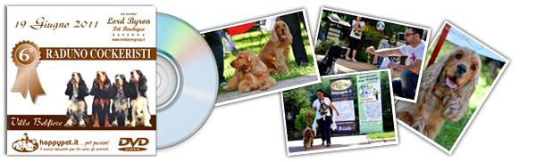 19 giugno 2011 copertina dvd