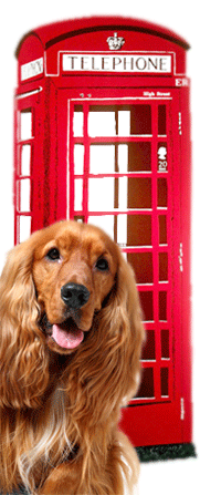 telephone box